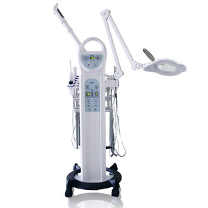 9 in 1 Multi-Function Beauty Instrument With RF (H5050A)