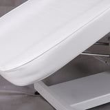 Hydraulic Massage Chair (DM-210)